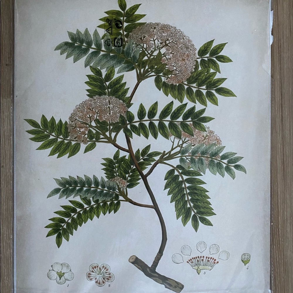 Floral poster